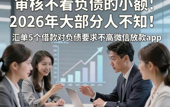 审核不看负债的小额2026年大部分人不知！汇总5个借款对负债要求不高微信放款app