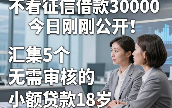 不看征信借款30000今日刚刚公开！汇集5个无需审核的小额贷款18岁