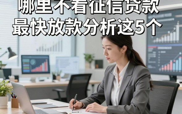 哪里不看征信贷款最快放款分析这5个，本篇为您精心论述！