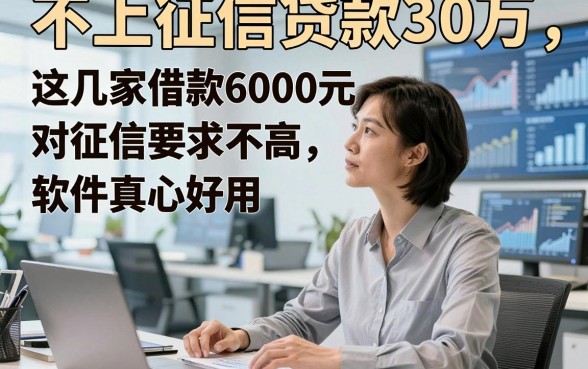 不上征信贷款30万，这几家借款6000元对征信要求不高软件真心好用