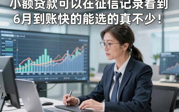 小额贷款可以在征信记录看到6月到账快的能选的真不少！，本篇深度汇集这5个网贷口子！