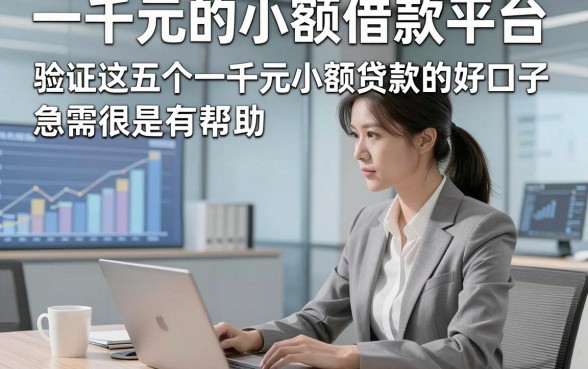 一千元的小额借款平台，验证这五个一千元小额贷款的好口子急需很有帮助