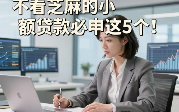 不看芝麻的小额贷款必申这5个！本文为您全面规整！