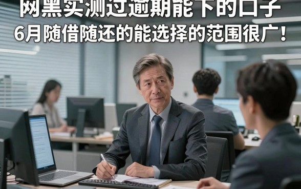网黑实测过逾期能下的口子6月随借随还的能选择的范围很广！，本篇为您全面归类这五个黑户借款平台！