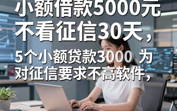 小额借款5000元不看征信30天，为您揭秘5个小额贷款3000对征信要求不高软件