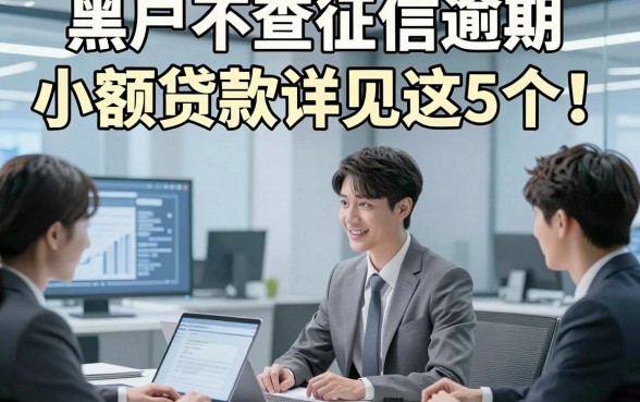 黑户不查征信逾期小额贷款详见这5个！本篇为您精心探寻！