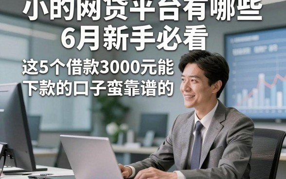 小的网贷平台有哪些6月新手必看，这5个借款3000元能下款的口子蛮靠谱的