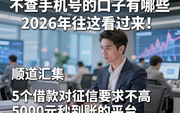 不查手机号的口子有哪些2026年往这看过来！顺道汇集5个借款对征信要求不高5000元秒到账的平台