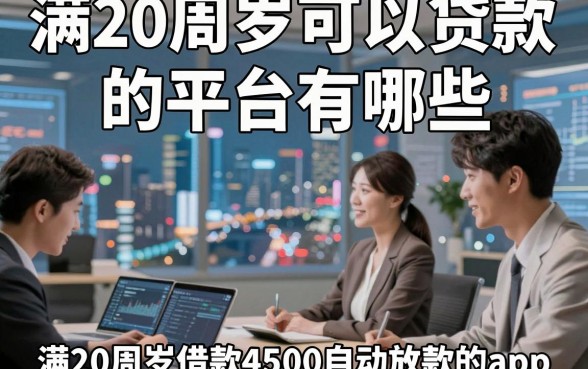满20周岁可以贷款的平台有哪些，顺便总结五个满20周岁借款4500自动放款的app