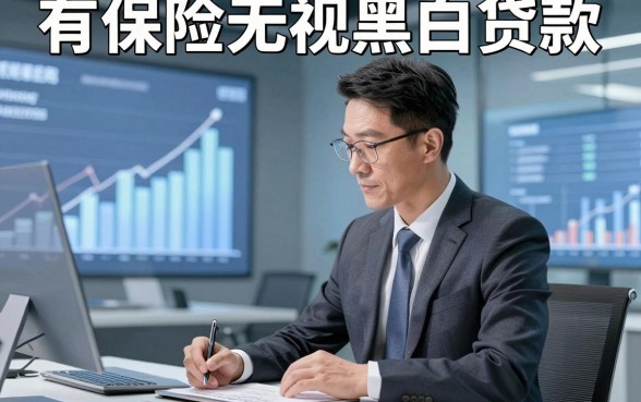 有保险无视黑白贷款，本篇为您深度讲说！