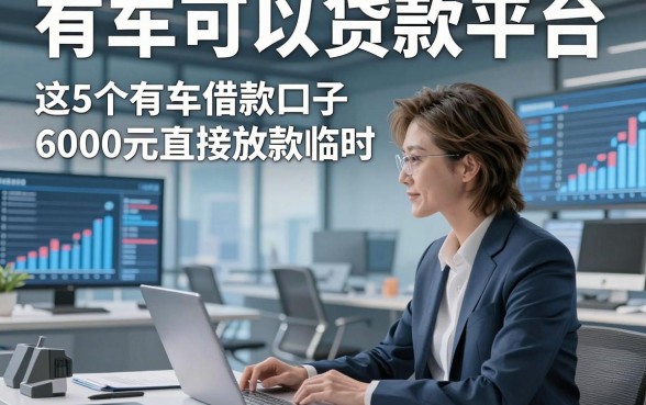 有车可以贷款平台，本篇诠释这5个有车借款口子6000元直接放款临时周转很顺