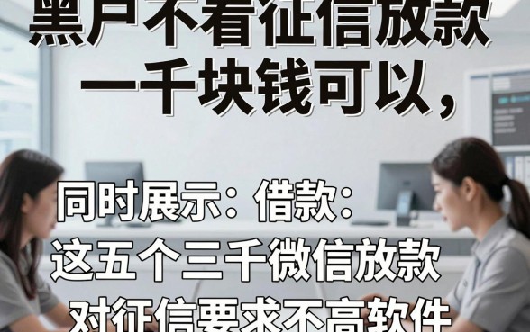 黑户不看征信放款一千块钱可以，同时展示这五个借款三千微信放款对征信要求不高软件