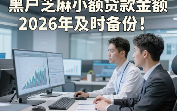 黑户芝麻小额贷款金额2026年及时备份！本文为您深入评述！