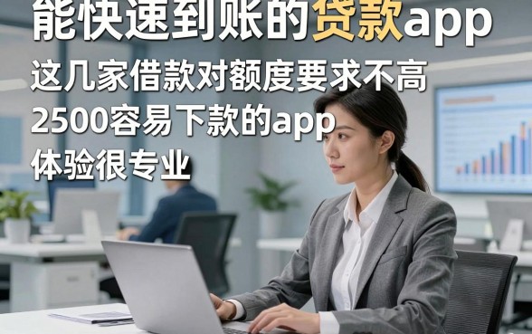 能快速到账的贷款app，这几家借款对额度要求不高2500容易下款的app体验很专业
