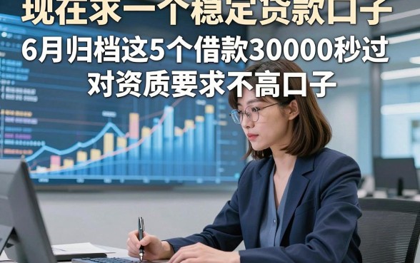 现在求一个稳定贷款口子，6月归档这5个借款30000秒过对资质要求不高口子