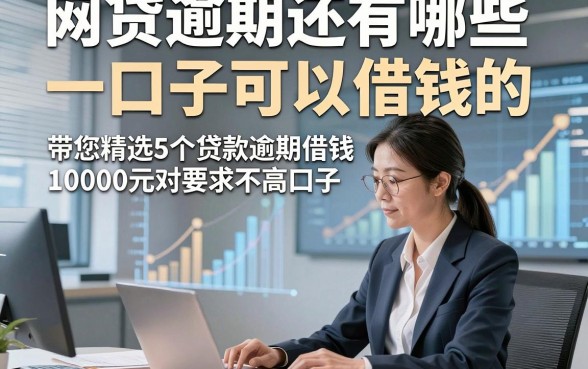 网贷逾期还有哪些口子可以借钱的，带您精选5个贷款逾期借钱10000元对要求不高口子