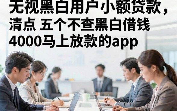 无视黑白用户小额贷款，清点​五个不查黑白借钱4000马上放款的app