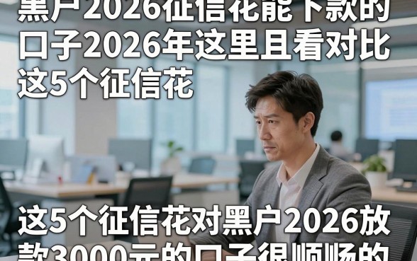 黑户2026征信花能下款的口子2026年这里且看对比，这5个征信花对黑户2026放款3000元的口子很顺畅的