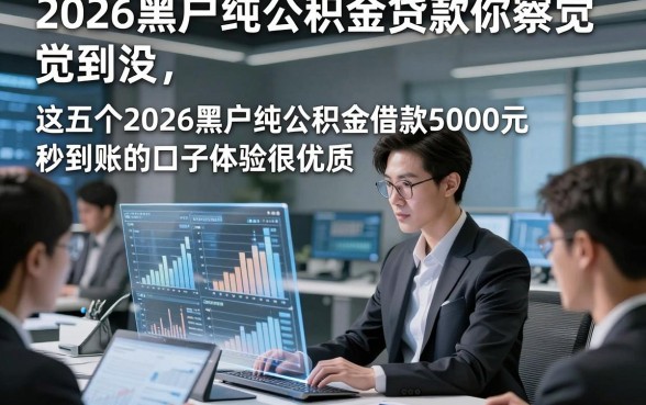 2026黑户纯公积金贷款你察觉到没，这五个2026黑户纯公积金借款5000元秒到账的口子体验很优质