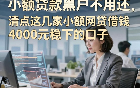 小额贷款黑户不用还，清点这几家小额网贷借钱4000元稳下的口子