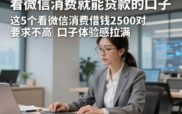 看微信消费就能贷款的口子，这5个看微信消费借钱2500对要求不高口子体验感拉满