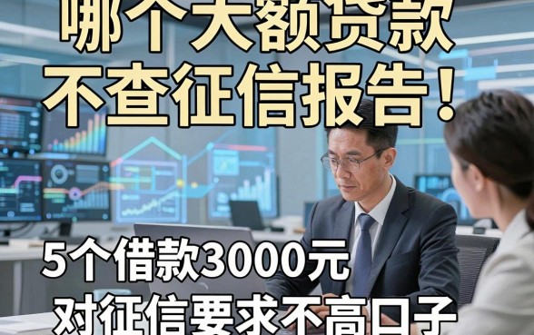 哪个大额贷款不查征信报告，总结5个借款3000元对征信要求不高口子