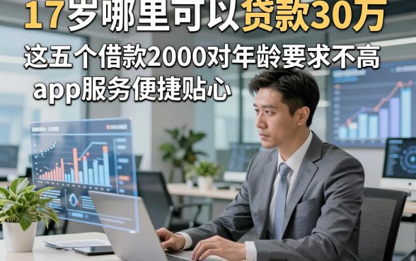 17岁哪里可以贷款30万，这五个借款2000对年龄要求不高app服务便捷贴心