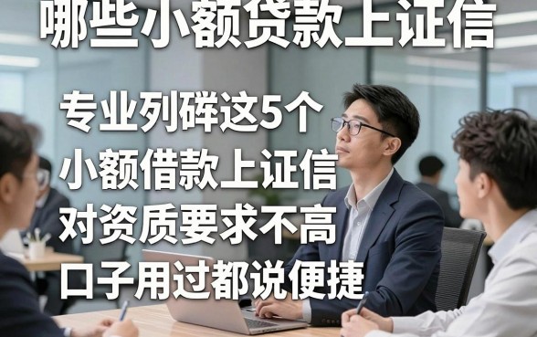 哪些小额贷款上证信，专业列举这5个小额借款上证信对资质要求不高口子用过都说便捷