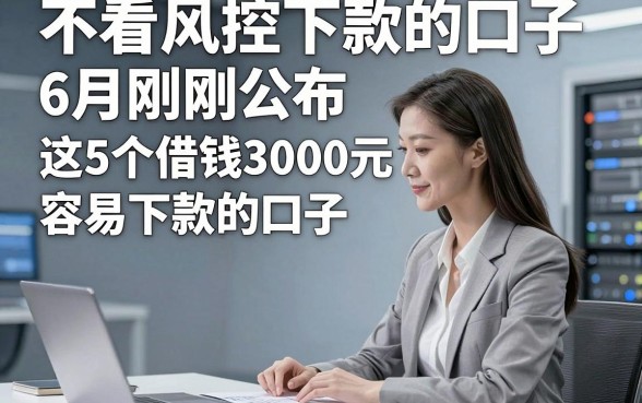 不看风控下款的口子6月刚刚公布，这5个借钱3000元容易下款的口子应急特别方便