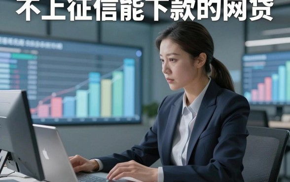 不上征信能下款的网贷，本文为您全面验证！