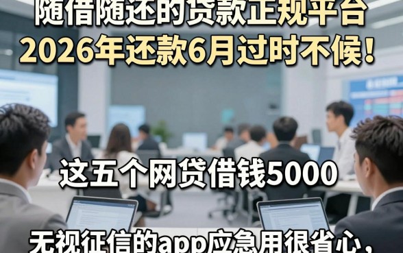 随借随还的贷款正规平台2026年还款6月过时不候！这五个网贷借钱5000无视征信的app应急用很省心