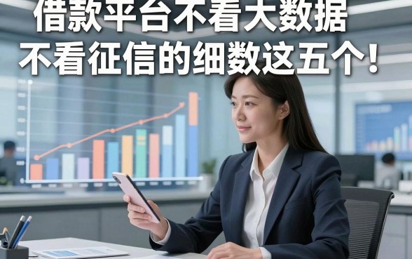 借款平台不看大数据不看征信的细数这五个！本篇为您全面盘点！