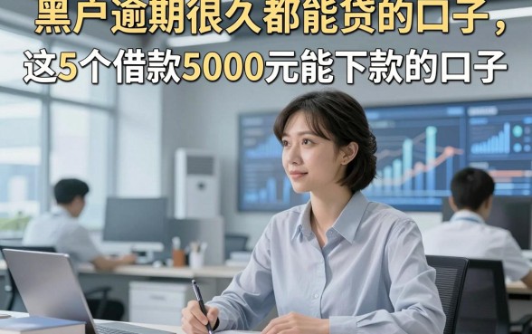 黑户逾期很久都能贷的口子，专业解析这5个借款5000元能下款的口子