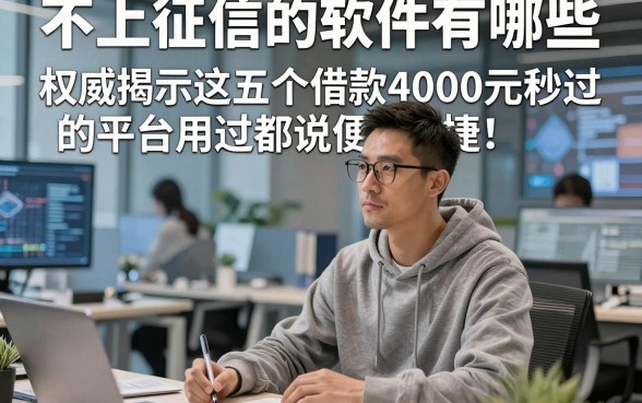 不上征信的软件有哪些，权威揭示这五个借款4000元秒过的平台用过都说便捷