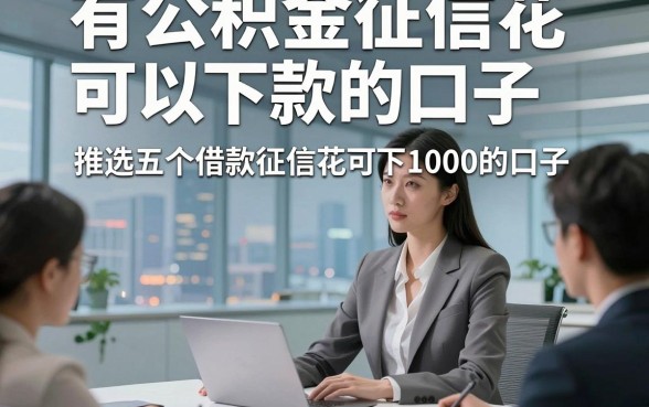 有公积金征信花可以下款的口子，推选五个借款征信花可下1000的口子