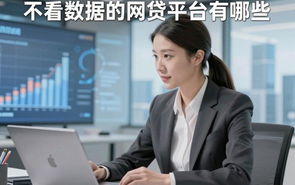 不看数据的网贷平台有哪些，本文为您全面研讨！