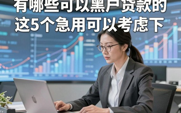 有哪些可以黑户贷款的这5个急用可以考虑下，本篇为您细致枚举！