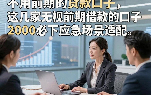不用前期的贷款口子，这几家无视前期借款的口子2000必下应急场景适配