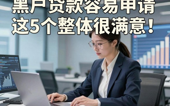 黑户贷款容易申请这5个整体很满意！本篇为您深入清点！