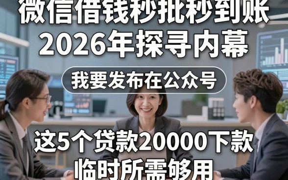 微信借钱秒批秒到账2026年探寻内幕，这5个贷款20000元容易下款app临时所需够用