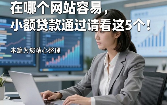 在哪个网站容易小额贷款通过请看这5个！本篇为您精心整理！