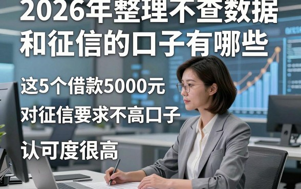2026年整理不查数据和征信的口子有哪些，这5个借款5000元对征信要求不高口子认可度很高