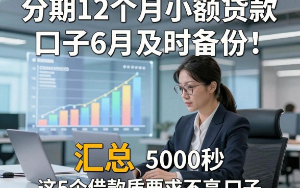 分期12个月小额贷款口子6月及时备份，汇总​这5个借款5000秒批对资质要求不高口子