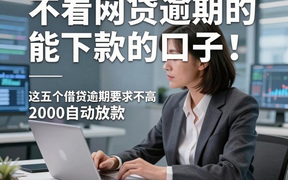 不看网贷逾期的能下款的口子，本次探讨这五个借款对网贷逾期要求不高口子2000自动放款