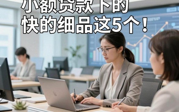 小额贷款下的快的细品这5个！本文为您深入点评！