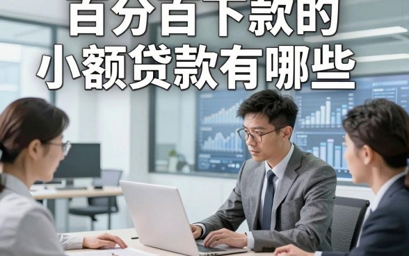 百分百下款的小额贷款有哪些，今日整理这几家借款5000秒下款的无视的app