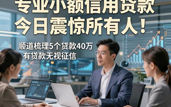 专业小额信用贷款今日震惊所有人！顺道梳理5个贷款40万无视征信