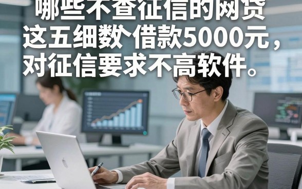 哪些不查征信的网贷,为您细数这五个借款5000元对征信要求不高软件