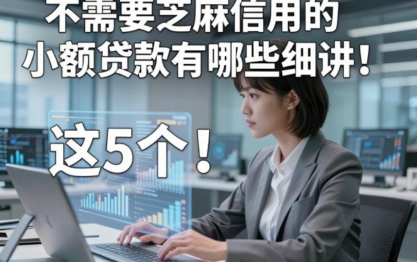 不需要芝麻信用的小额贷款有哪些细讲​这5个！本篇为您精心品评！