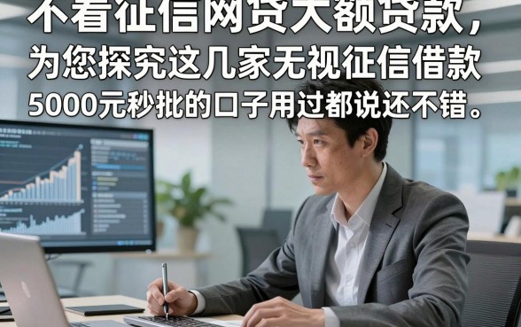 不看征信网贷大额贷款，为您探究这几家无视征信借款5000元秒批的口子用过都说还不错